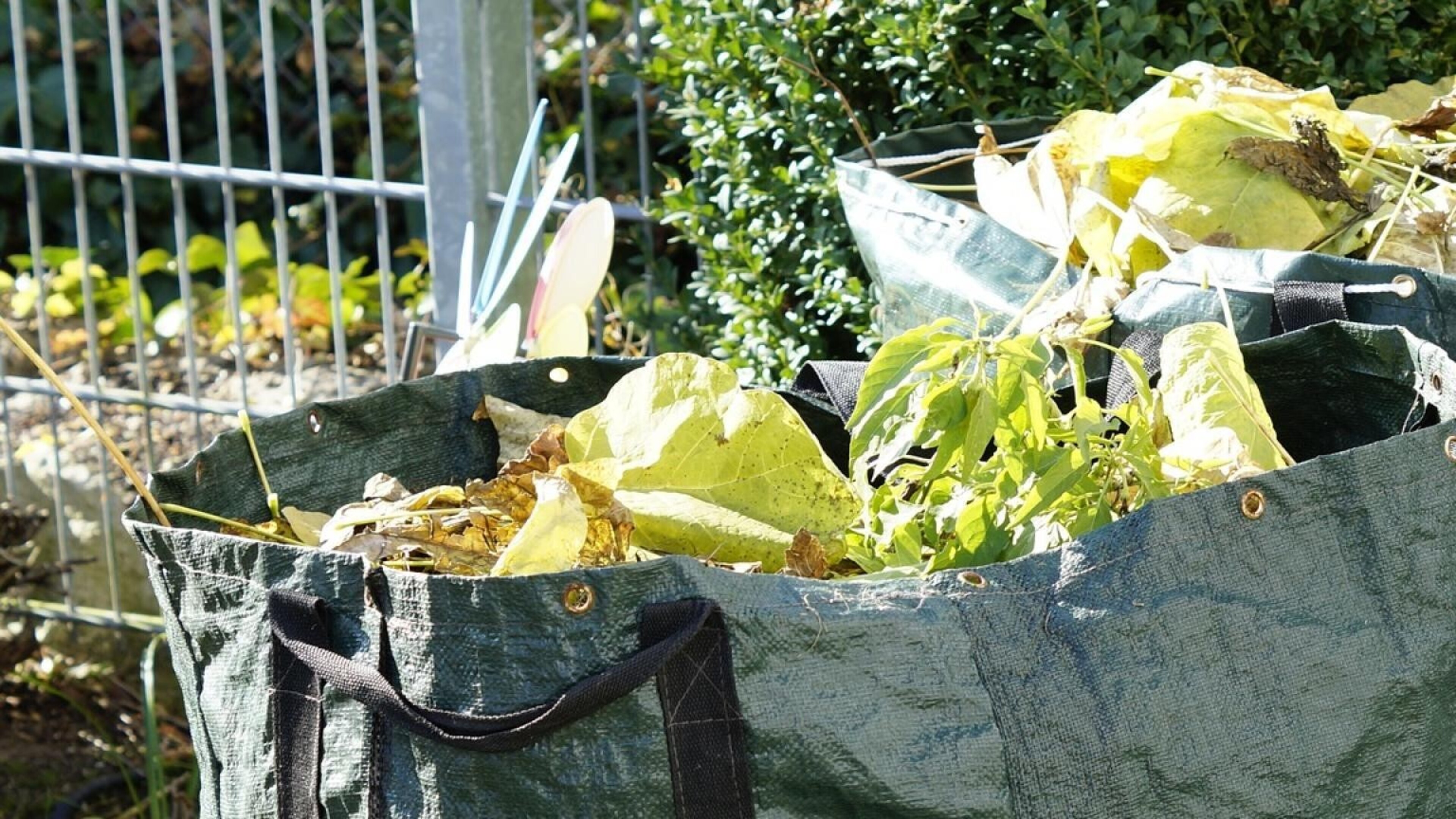 Extra brengvoorziening in Baexem weer open voor huishoudelijk tuinafval