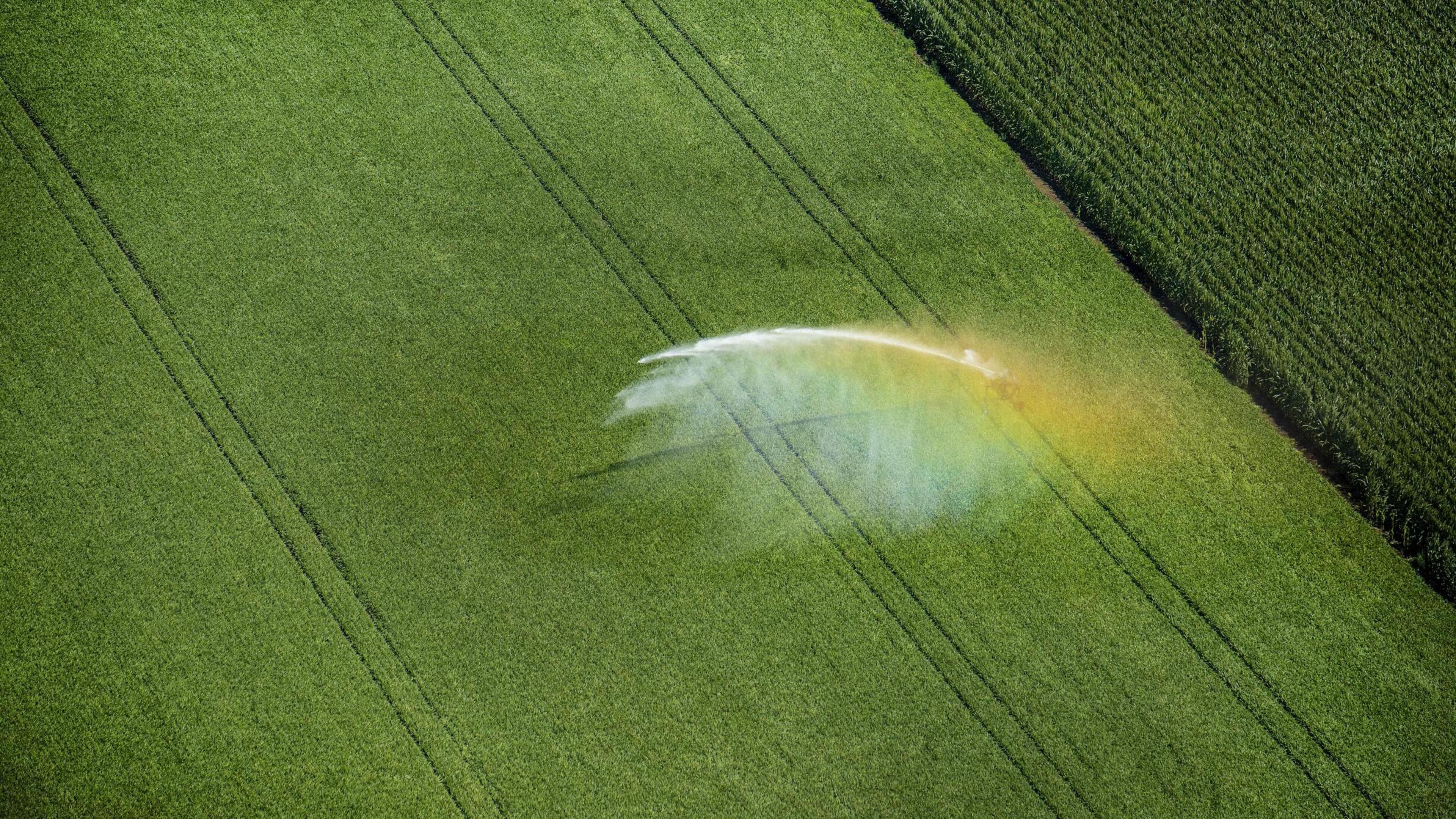 Vervuiling met giftige PFAS rond voormalige vliegbasis De Peel in Vredepeel vijftig keer hoger dan d