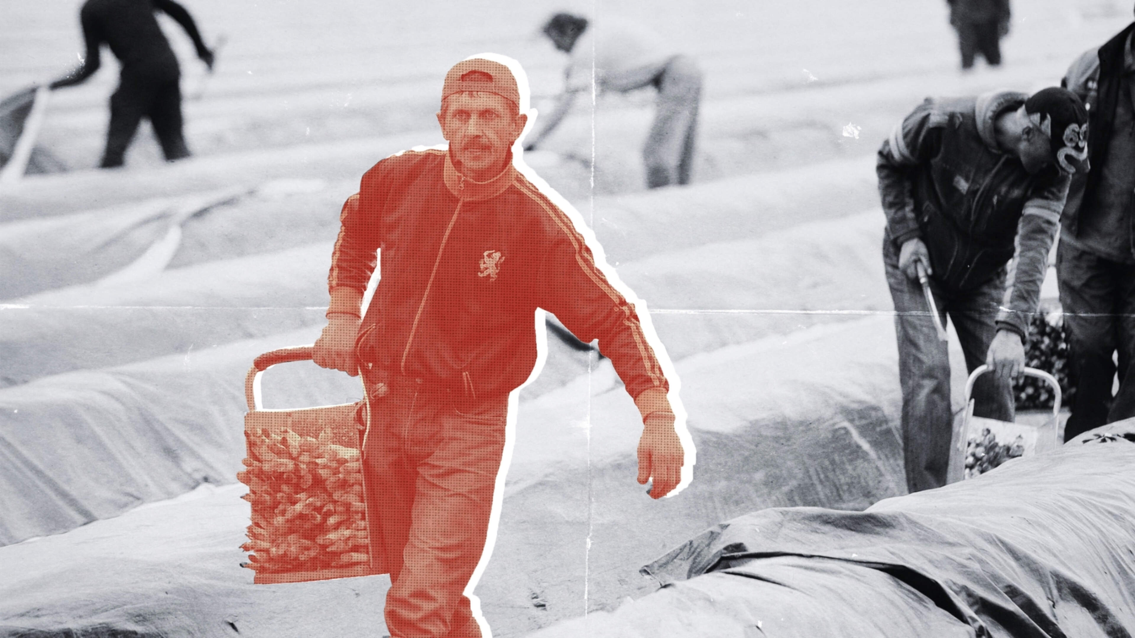 Einde slavernij is ook in Limburg nog lang niet in zicht, stelt econoom: ‘Arme arbeiders beginnen ge