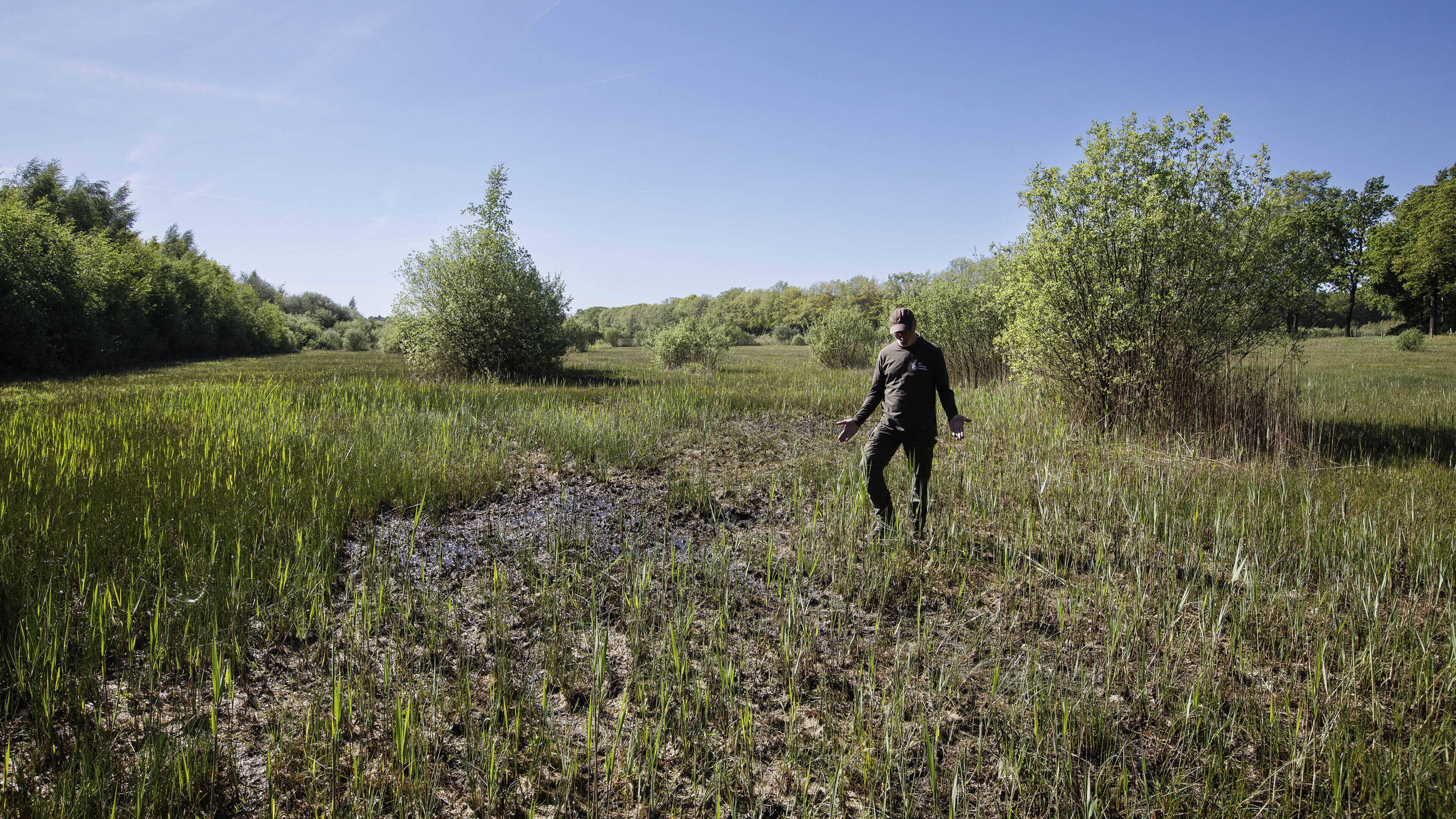 Zorgen in Limburg over ‘sluipmoordenaar’ droogte nemen toe: ‘We staan al met 1-0 achter’