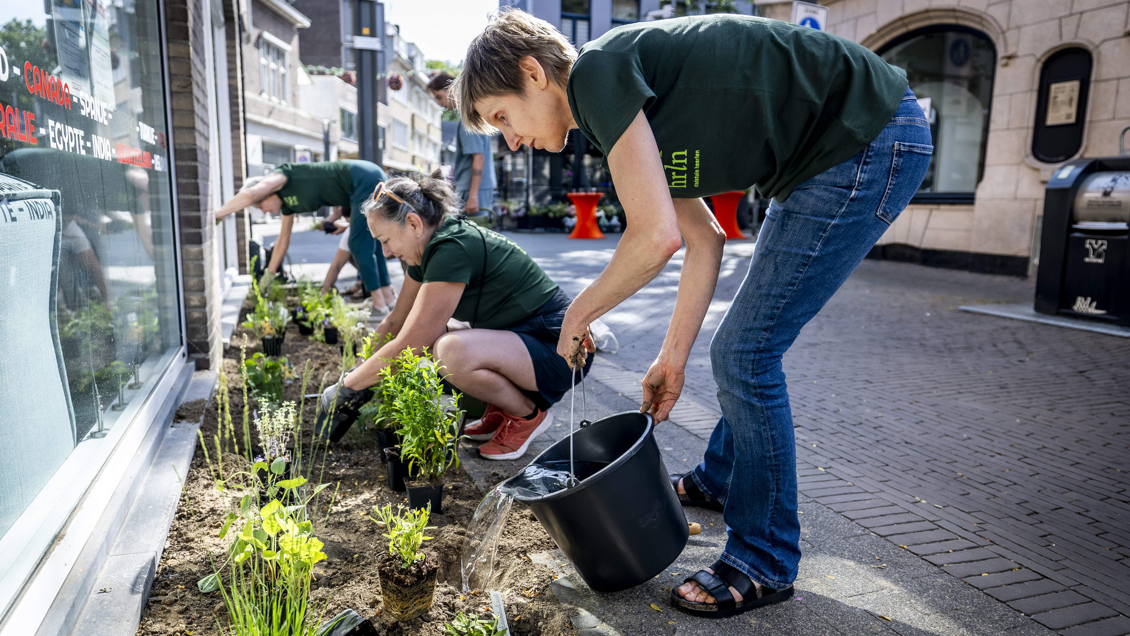 Postzegelplantsoenen en geveltuintjes maken Heerlen-Centrum ineens een beetje groener: ‘Het is mooi 