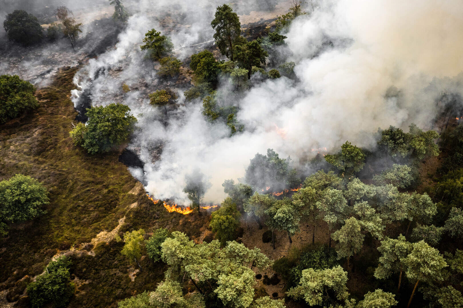 Brand in natuurgebied in Oostrum nog niet onder controle, duurt tot  middernacht: helikopters stoppen met vliegen en brandweerpatrouilles  afgelost | De Limburger