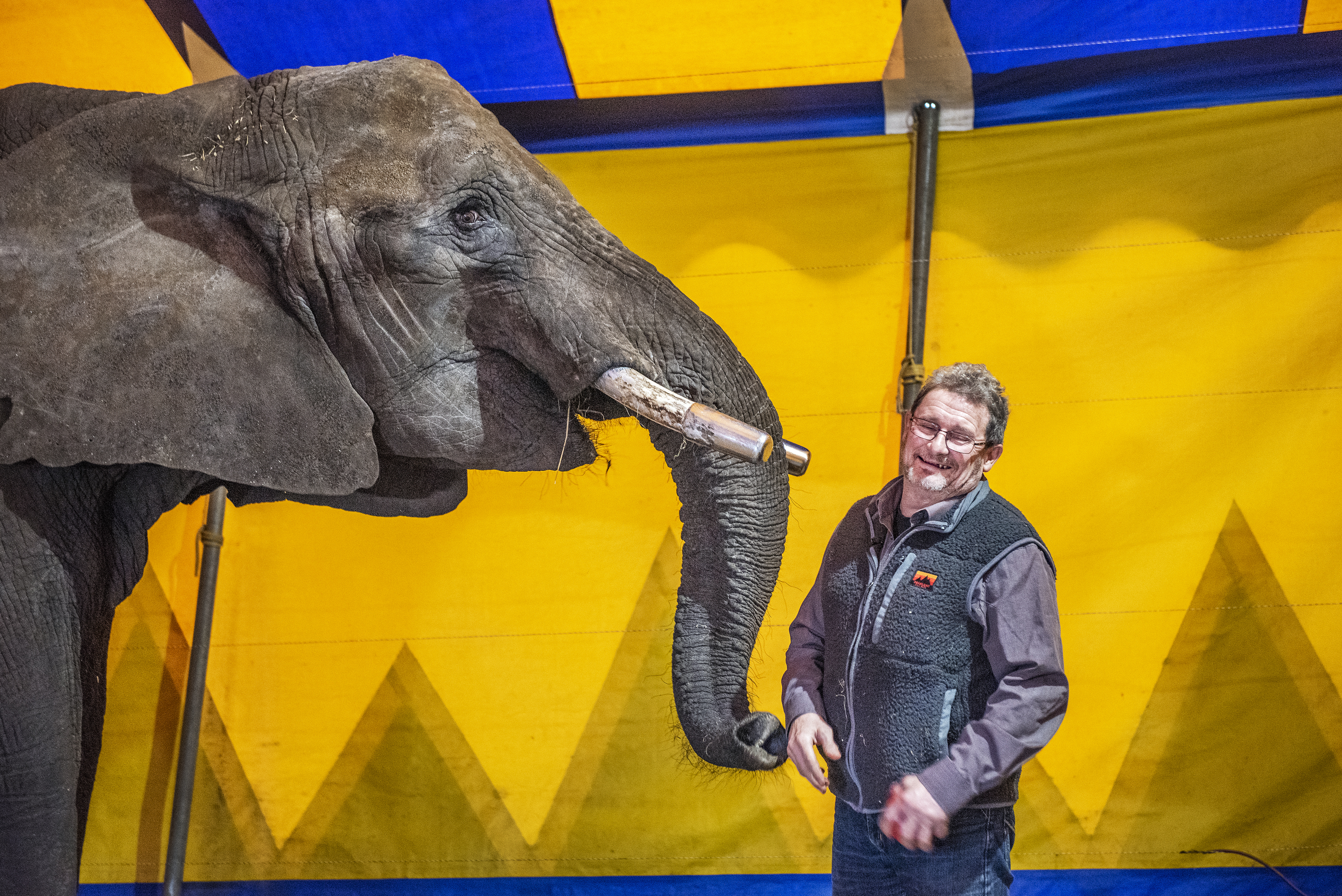 Circusolifant Buba mag blijven in Beringe, maar dierenrechtenorganisaties geven strijd niet op