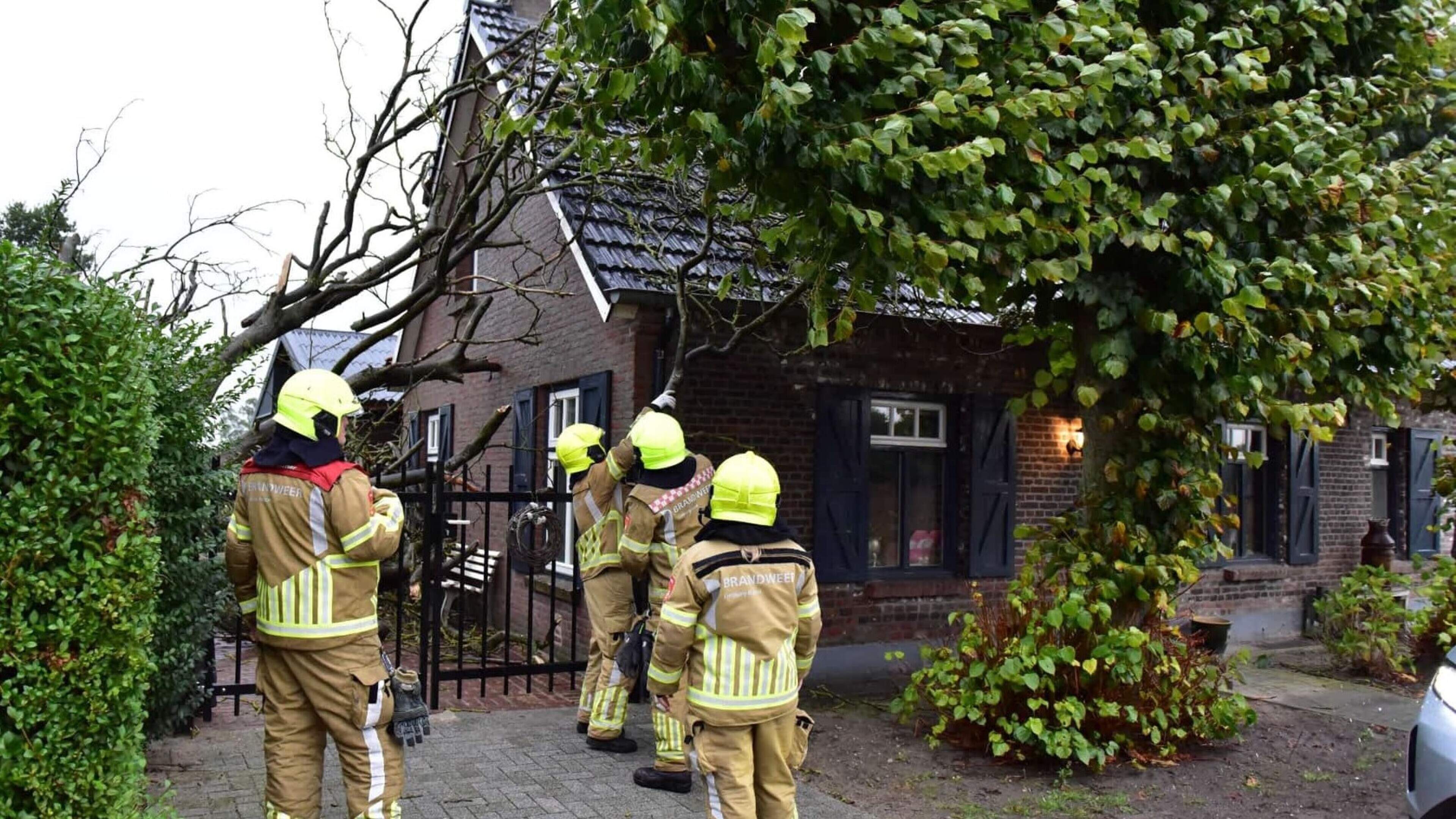 Boom valt tegen dak van woning in Nederweert
