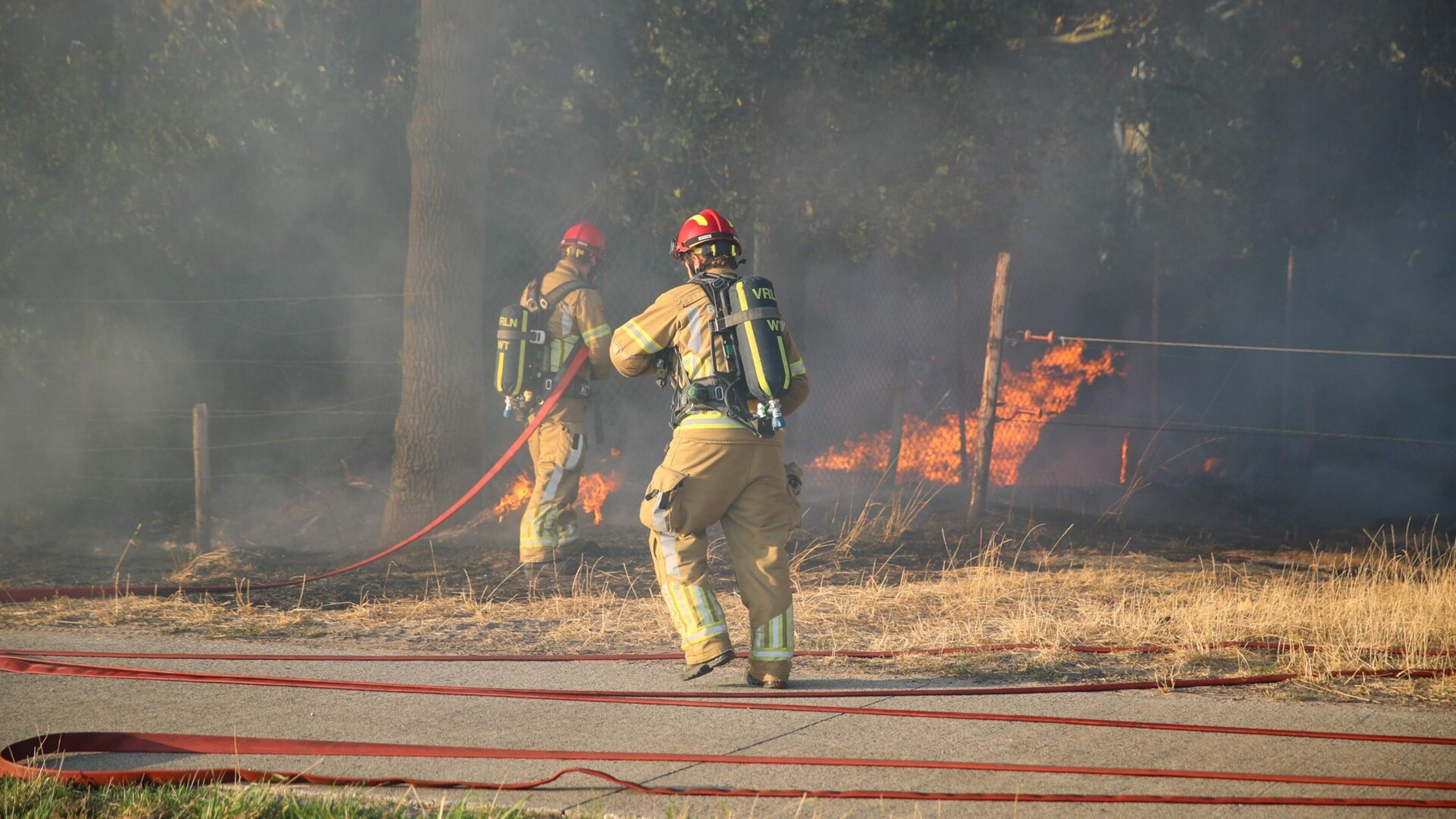 Kleine natuurbrand in Nederweert snel onder controle