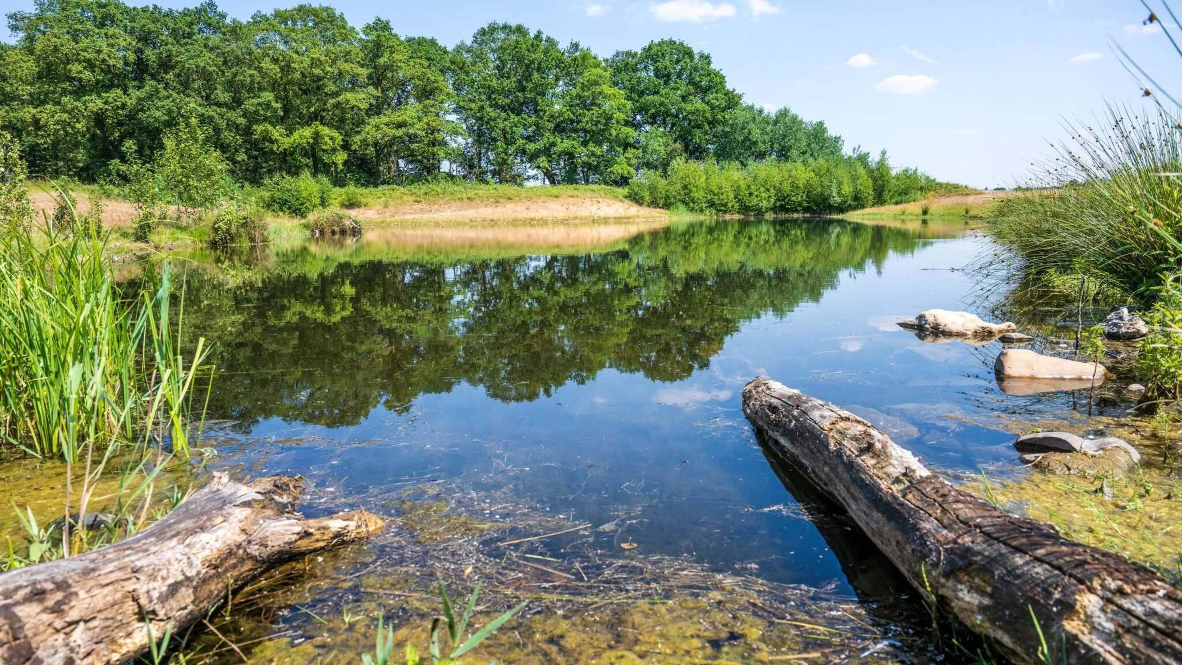 Schuitwater, Diepeling en Schadijkerheide: wandeldriedaagse met IVN De Maasdorpen
