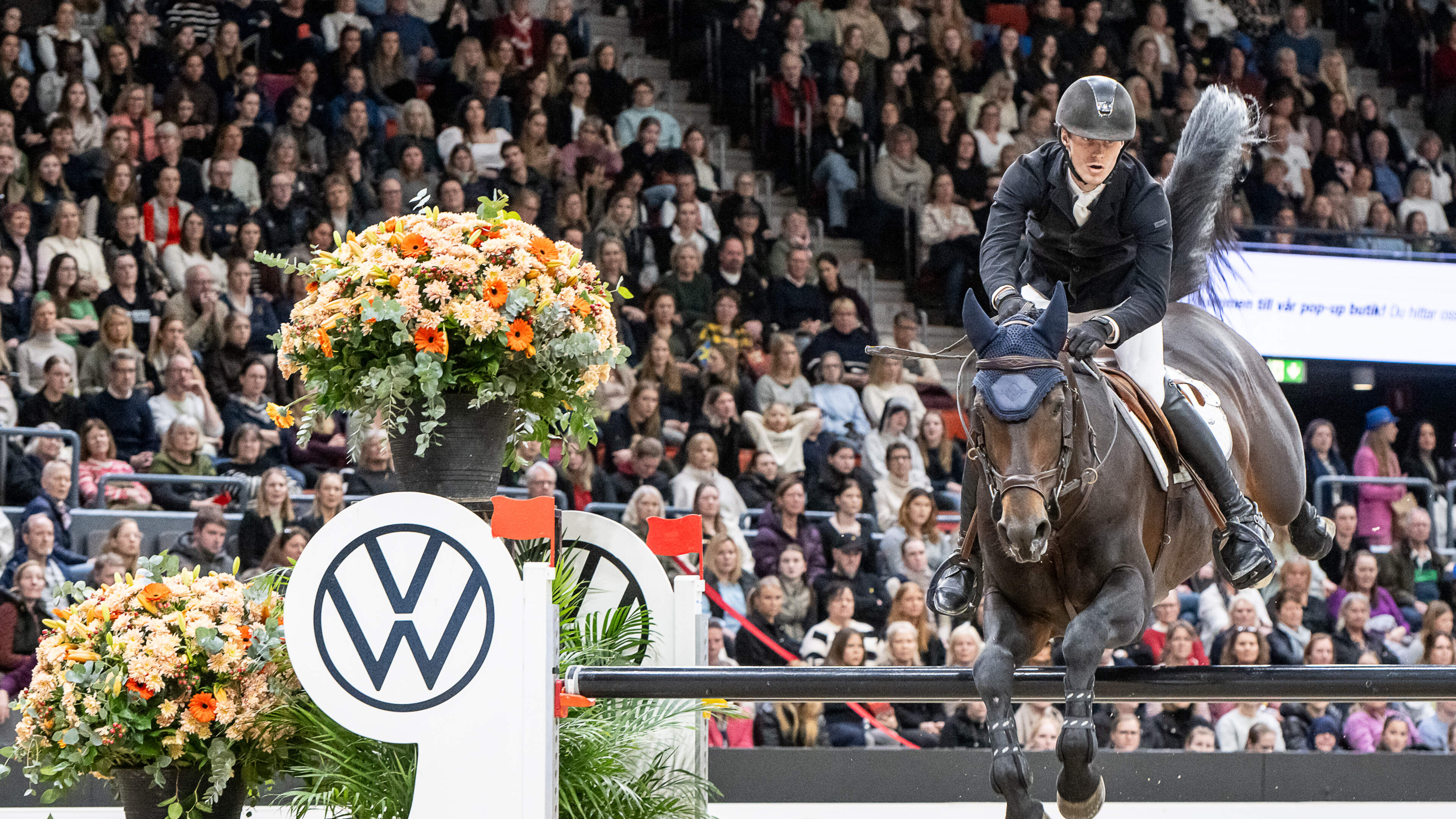 Egchelse stal Kersten sluit via rechter deal met oud-eigenaar toppaard Funky Fred: ‘Sterren van de h