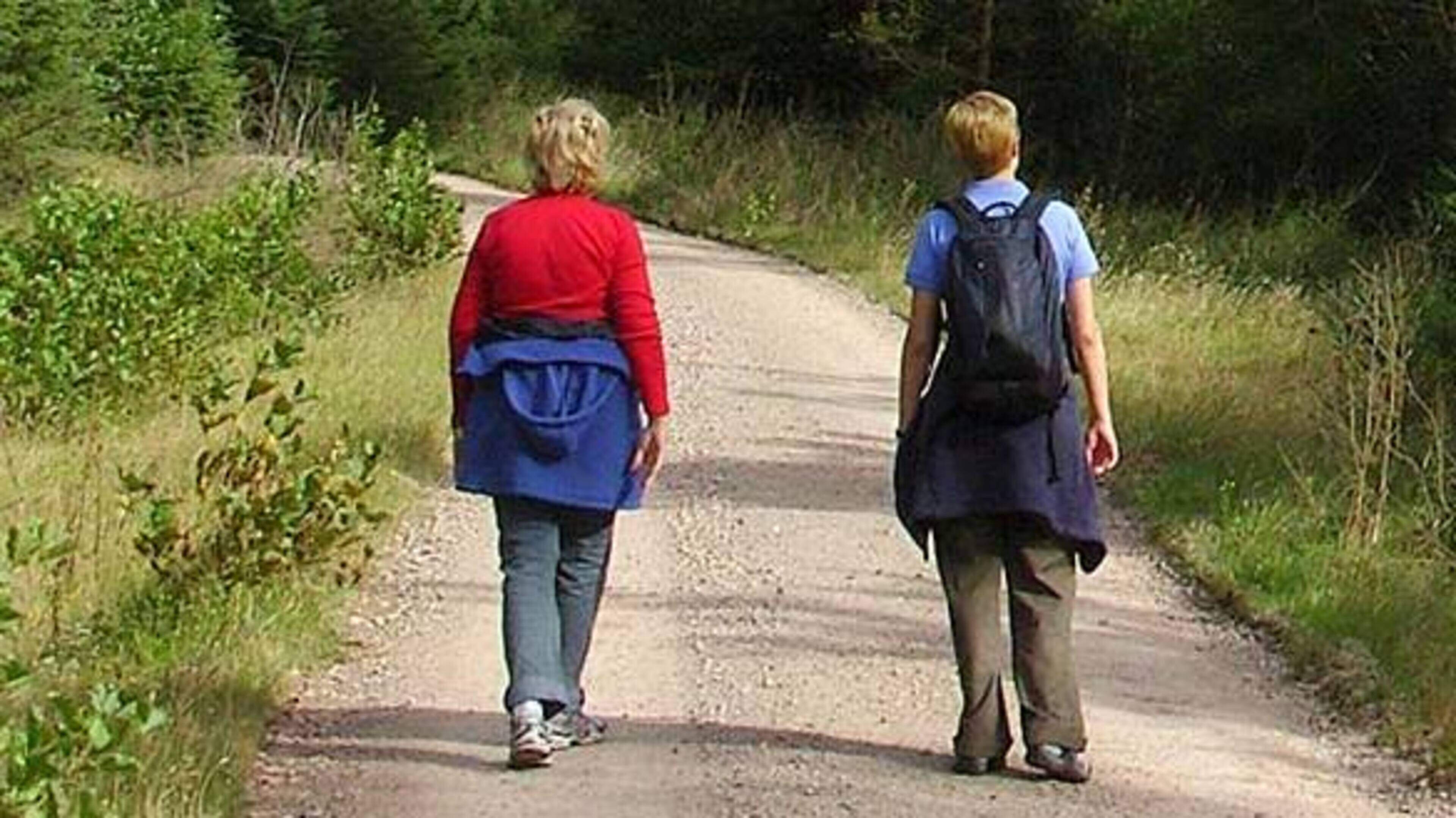 Twintigste editie van wandeltocht Grand Tour de Bree voor goed doel