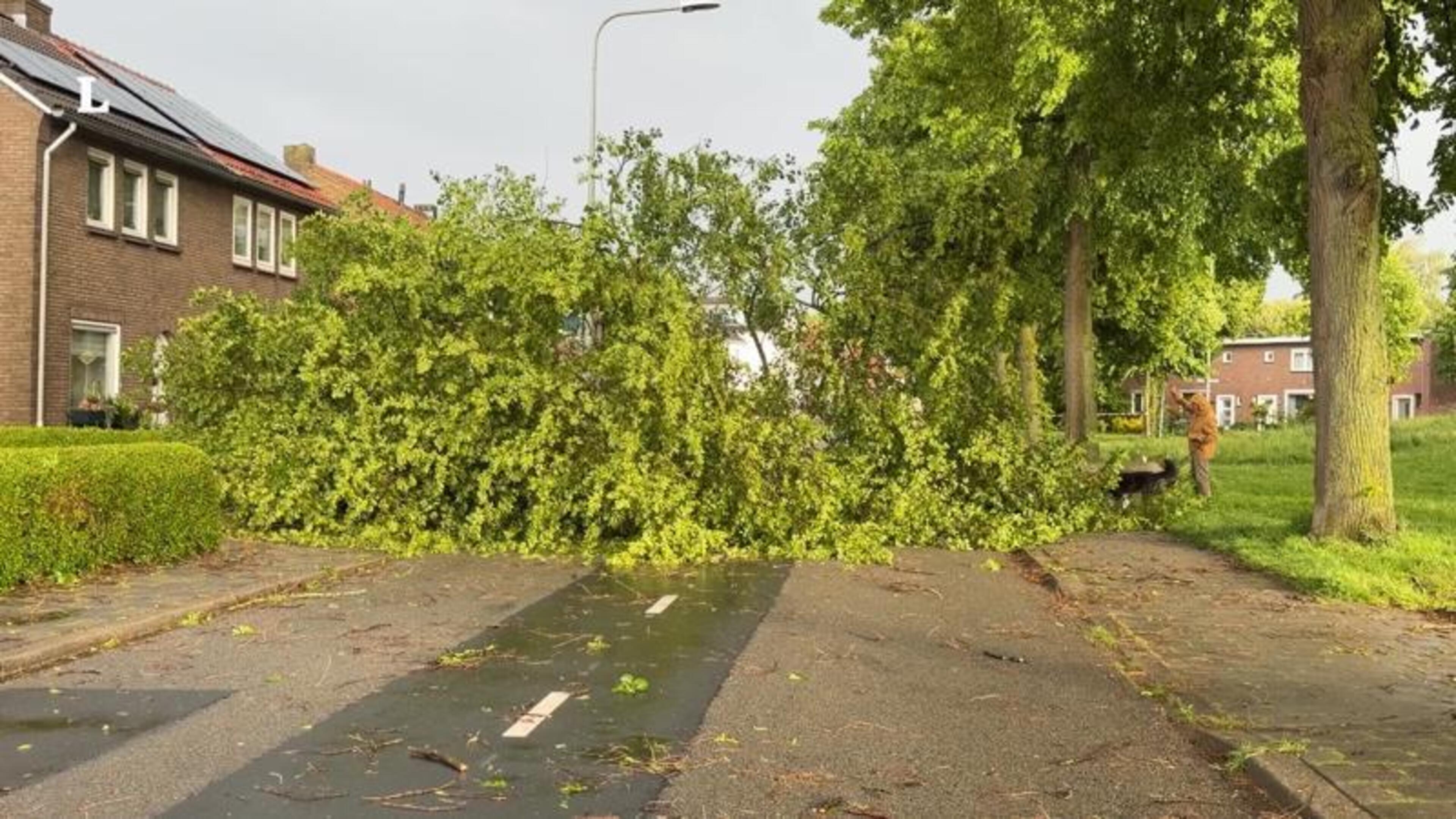 Stormschade Maastricht