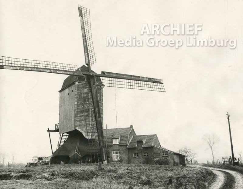 Molen | De Limburger