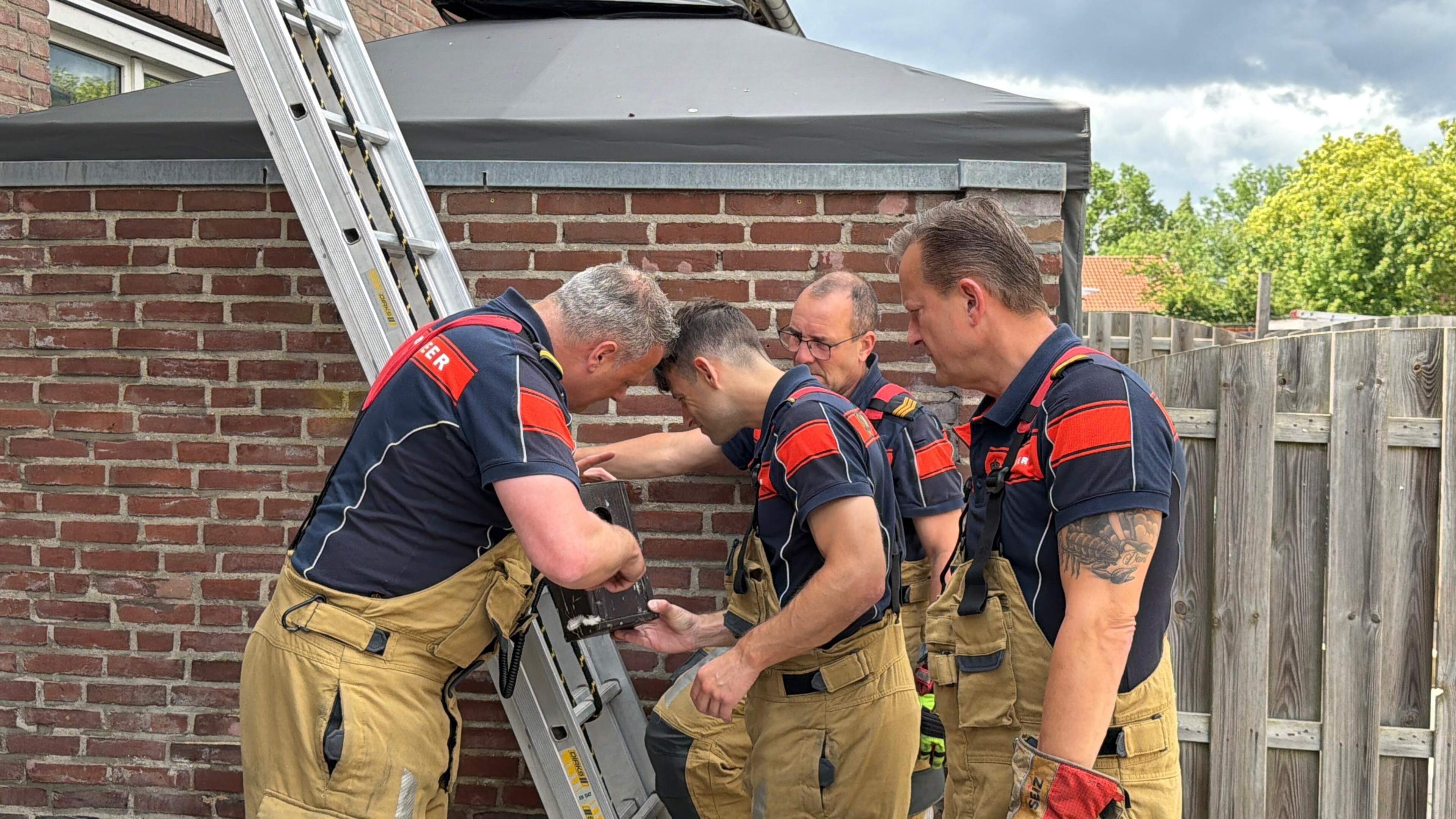 Brandweermannen schieten verstrikt geraakt musje te hulp in Maastricht