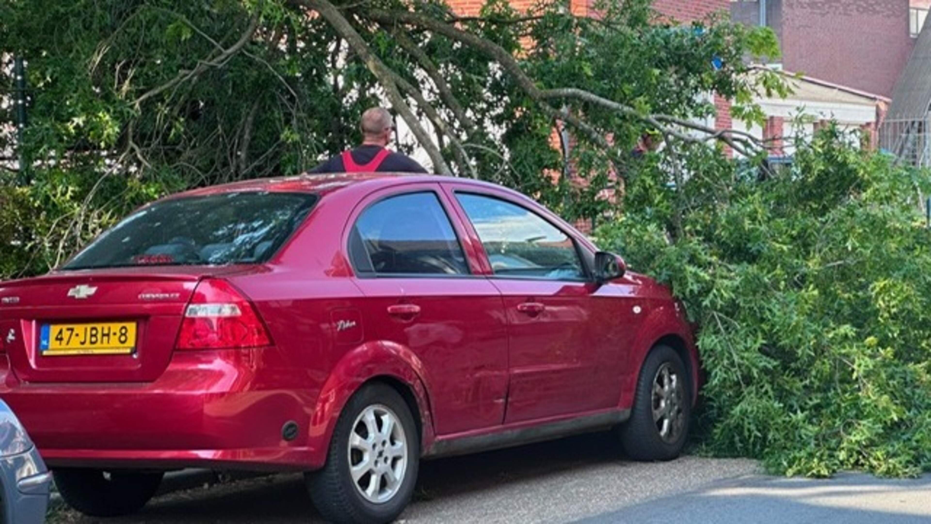 Grote tak breekt af en landt op auto in Hoensbroek